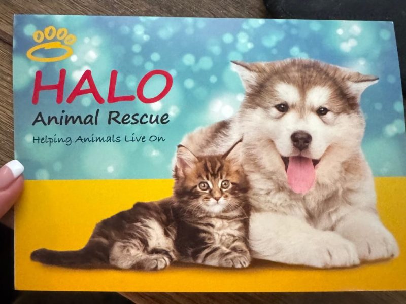 🔥🐾 BROTHERS & SISTERS — THIS ONE’S FOR THE PACK&nbsp;🐾🔥